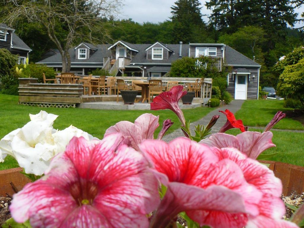 Ecola Creek Lodge Main image 1